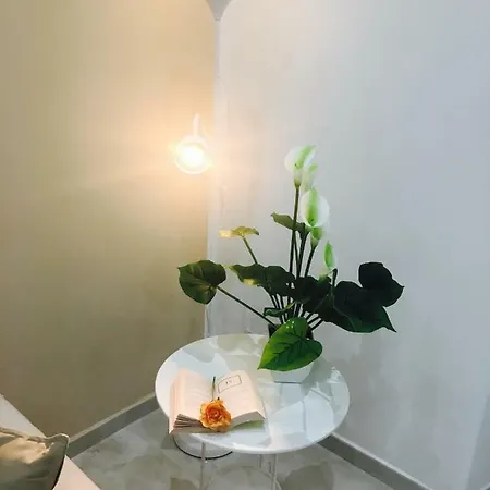 Queen Chic Apartment