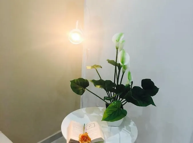 Queen Chic Apartment